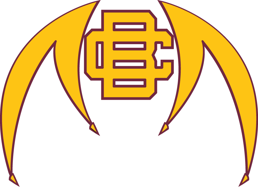 Bethune-Cookman Wildcats 2010-Pres Alternate Logo iron on transfers for clothing